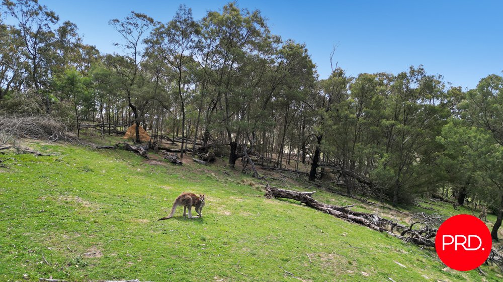 114 Cherry Tree Lane BUNGENDORE 20