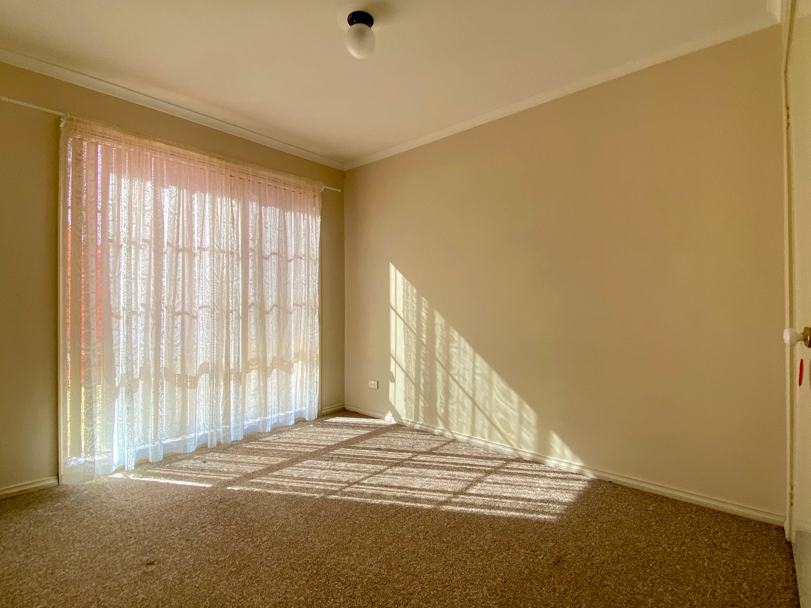 1/14 Graetz Court LAVINGTON 8