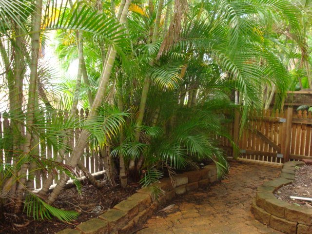 1/14 Island Drive CANNONVALE 5