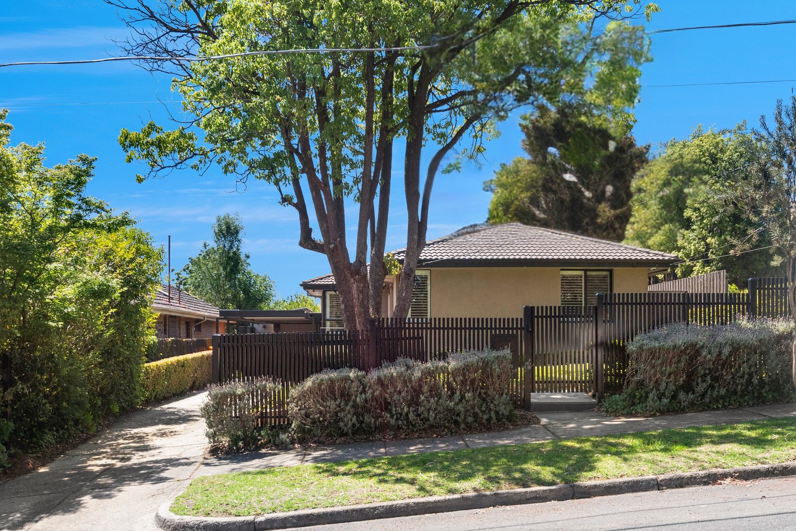 1/14 Lincoln Avenue, Mont Albert North, 3129