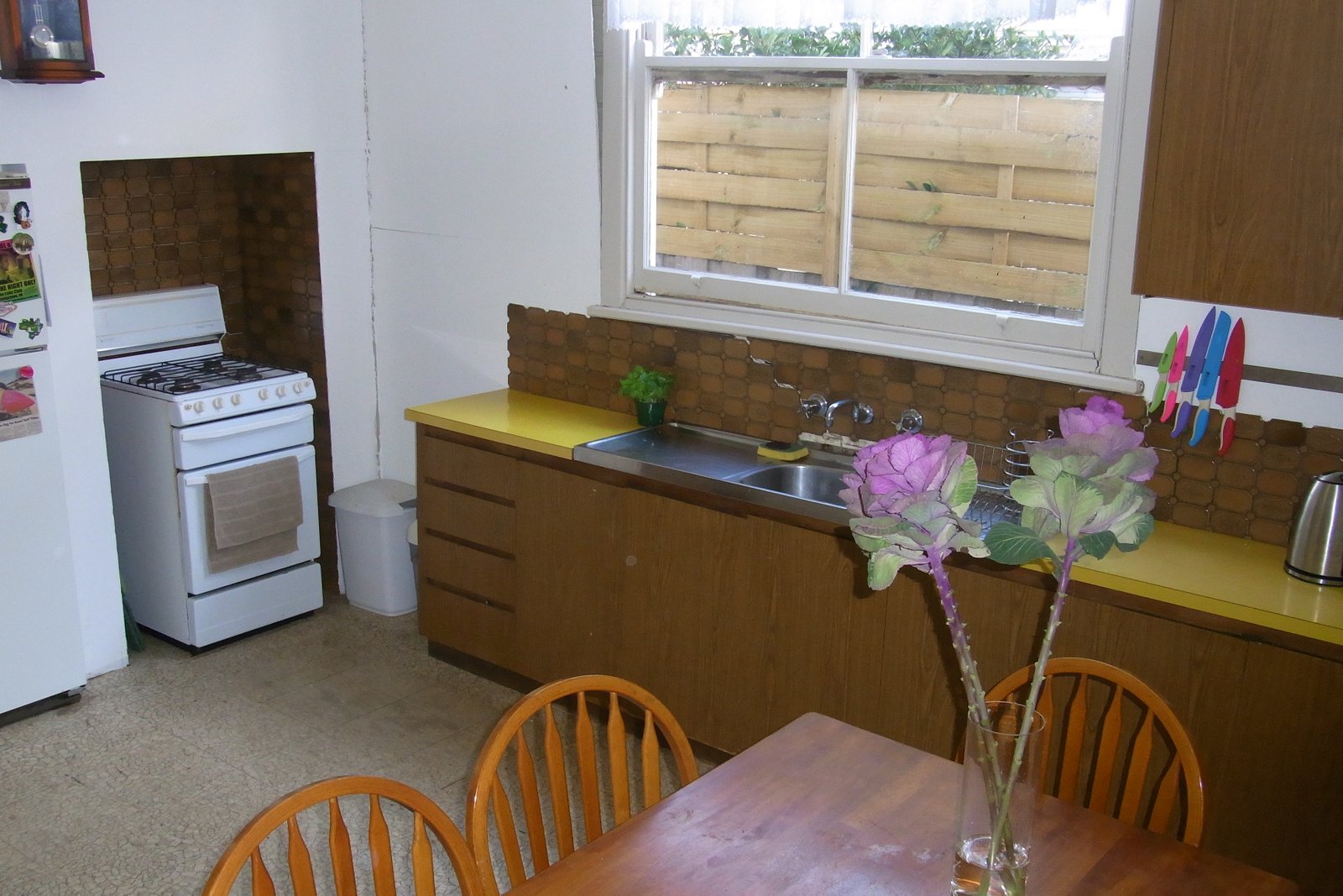 Gallery: 114 McKillop Street