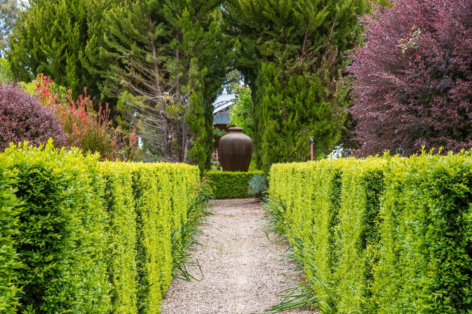 Real Estate and Property in 114 Rodonis Road, Musk, VIC