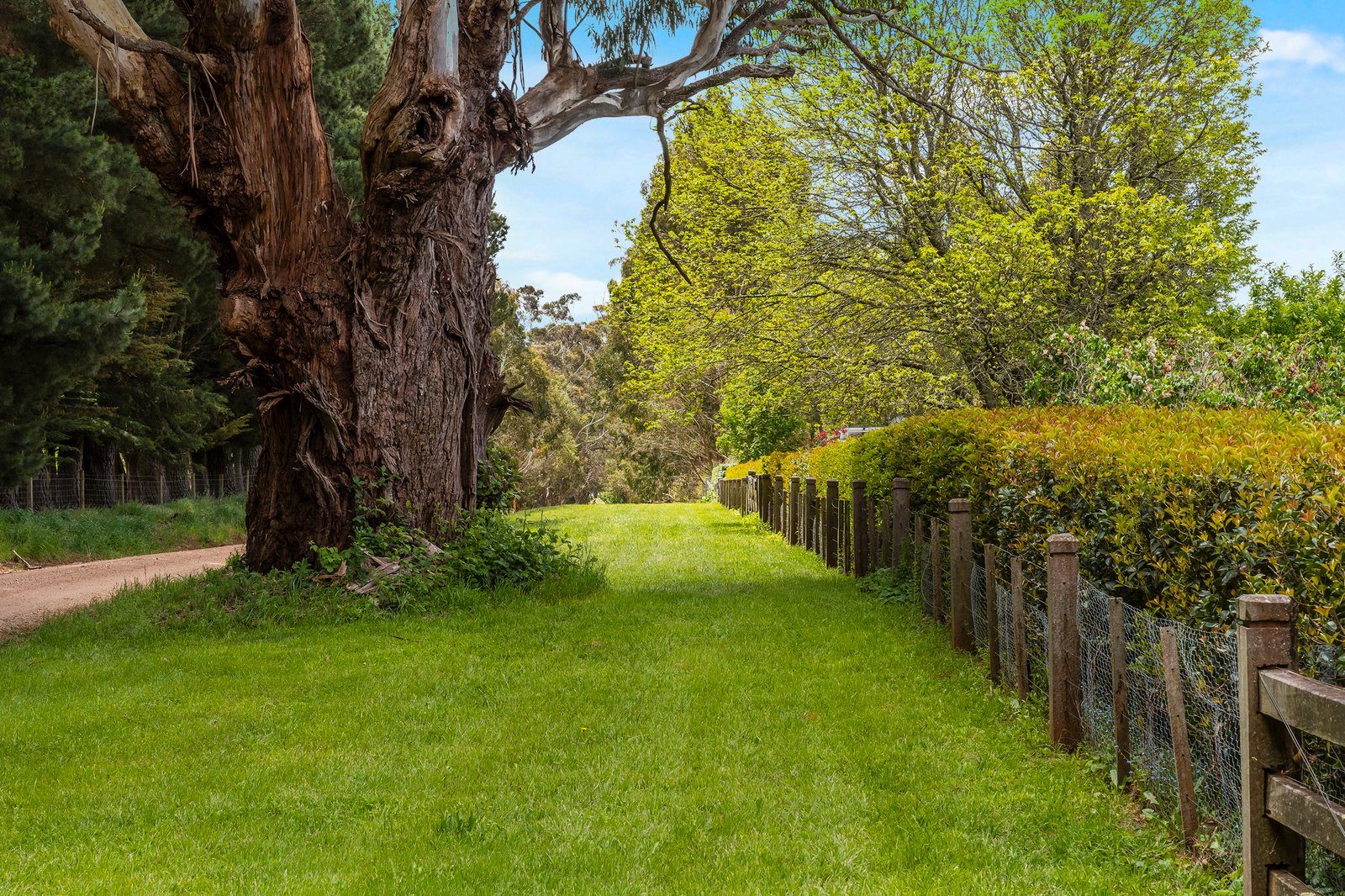 Real Estate and Property in 114 Rodonis Road, Musk, VIC