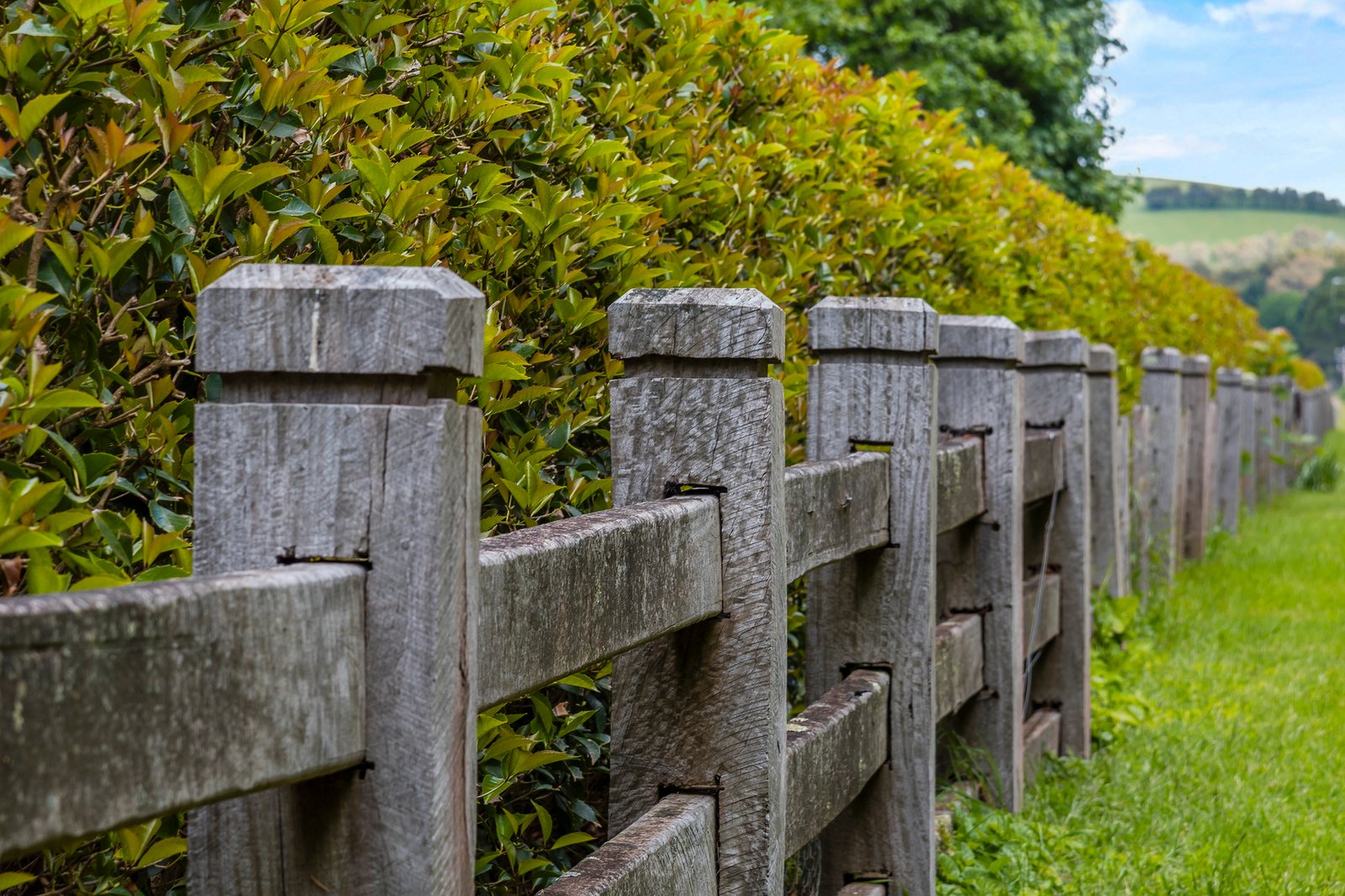 Real Estate and Property in 114 Rodonis Road, Musk, VIC