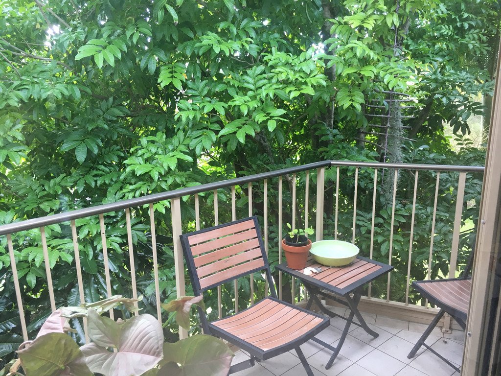 11/4 Rolan Court PALM BEACH 4