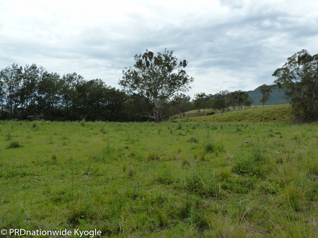 11439 Mount Lindesay Road KOREELAH 23