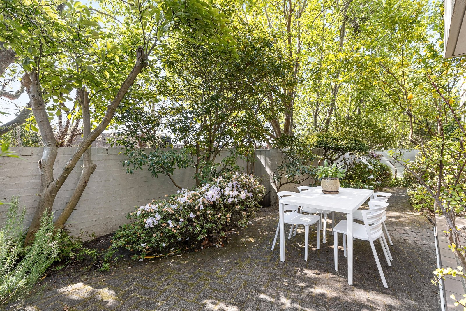 Real Estate and Property in 11/48 Lansell Road, Toorak, VIC