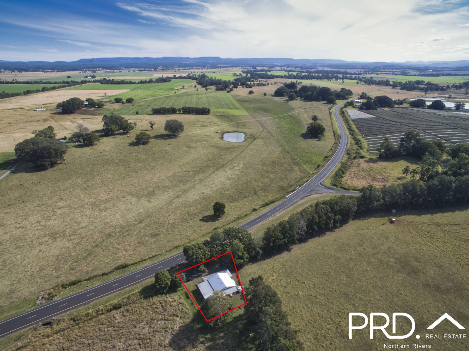 11480 Summerland Way FAIRY HILL 2