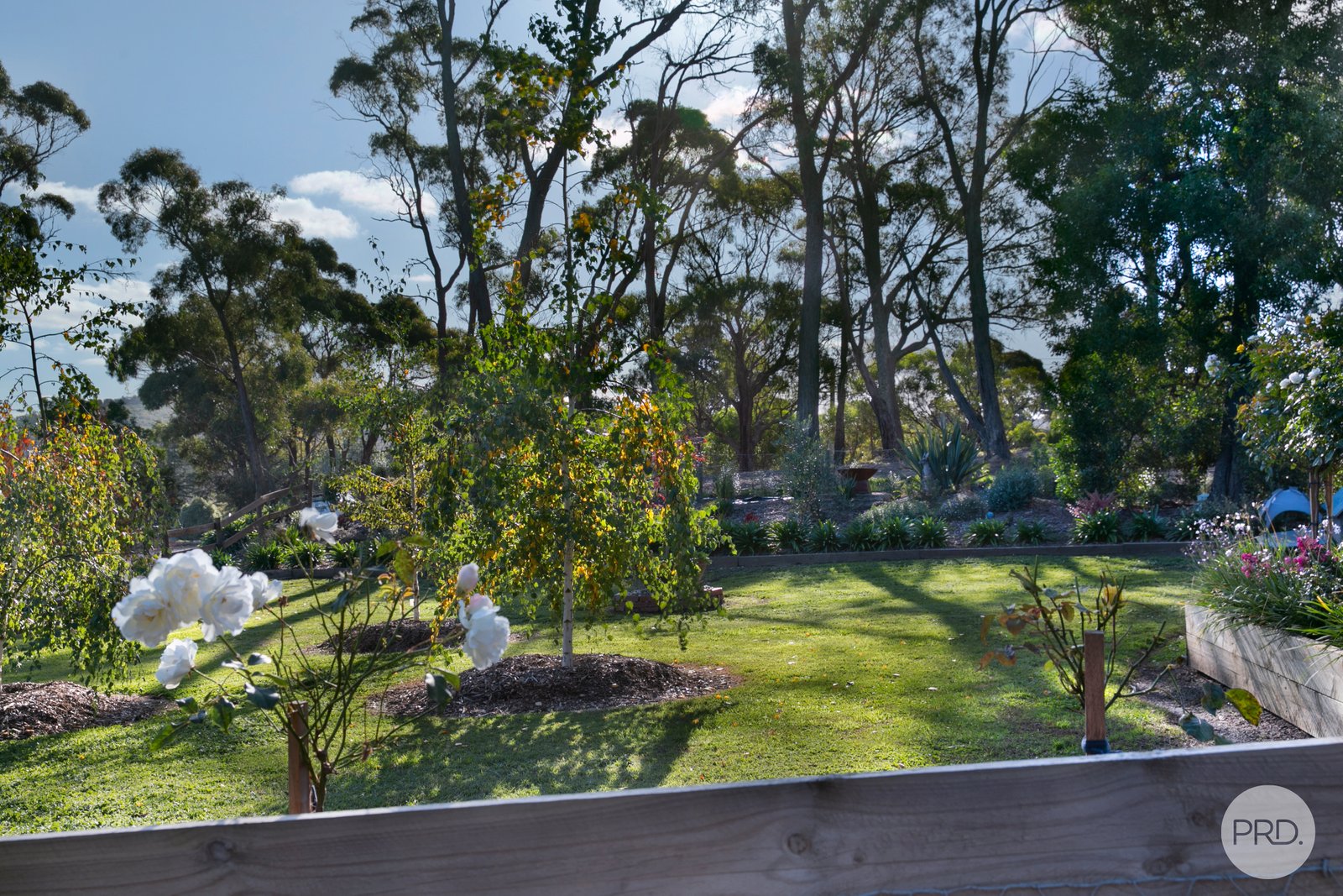 114A Daylesford Road BROWN HILL 13