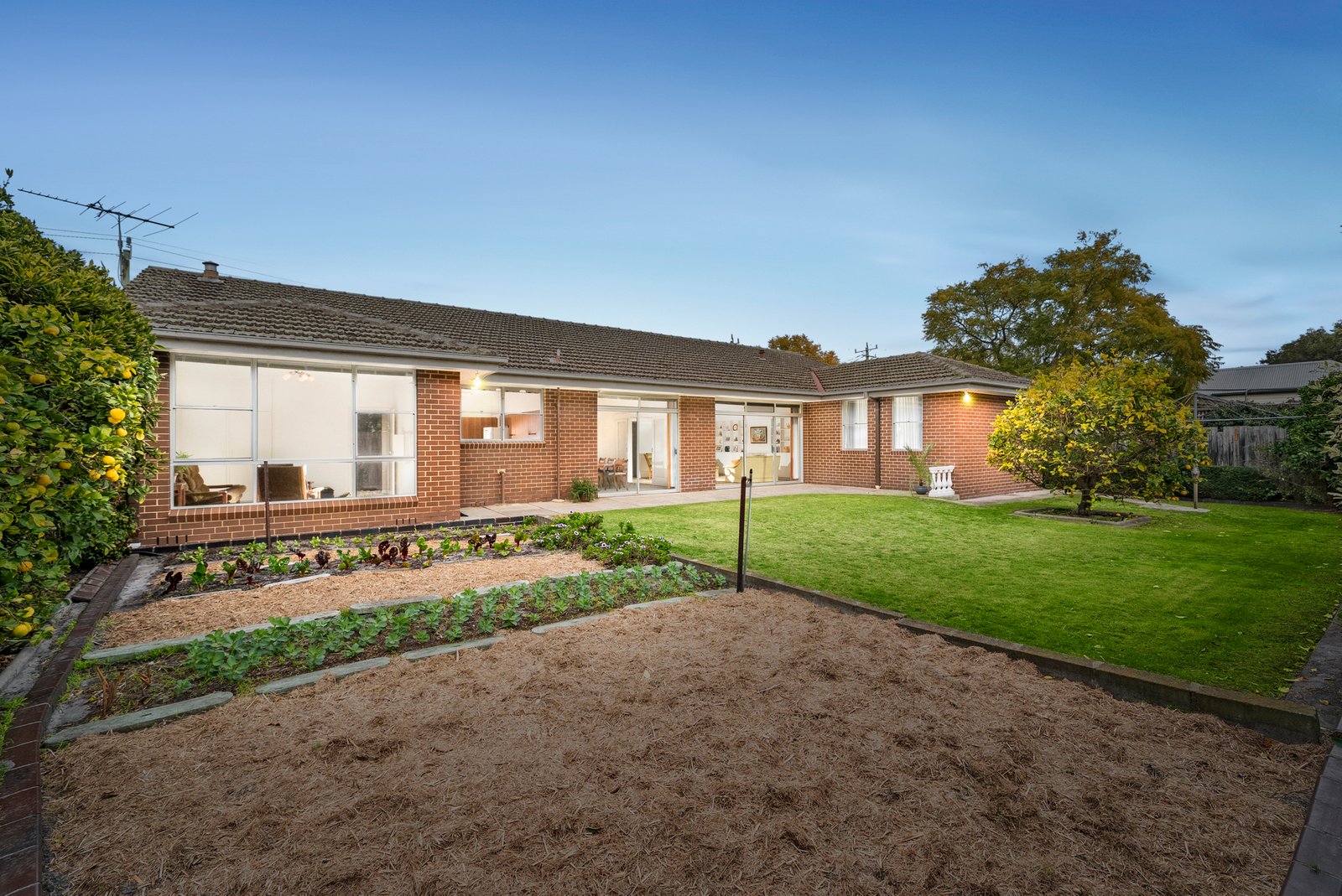 Gallery: 115 Abbott Street