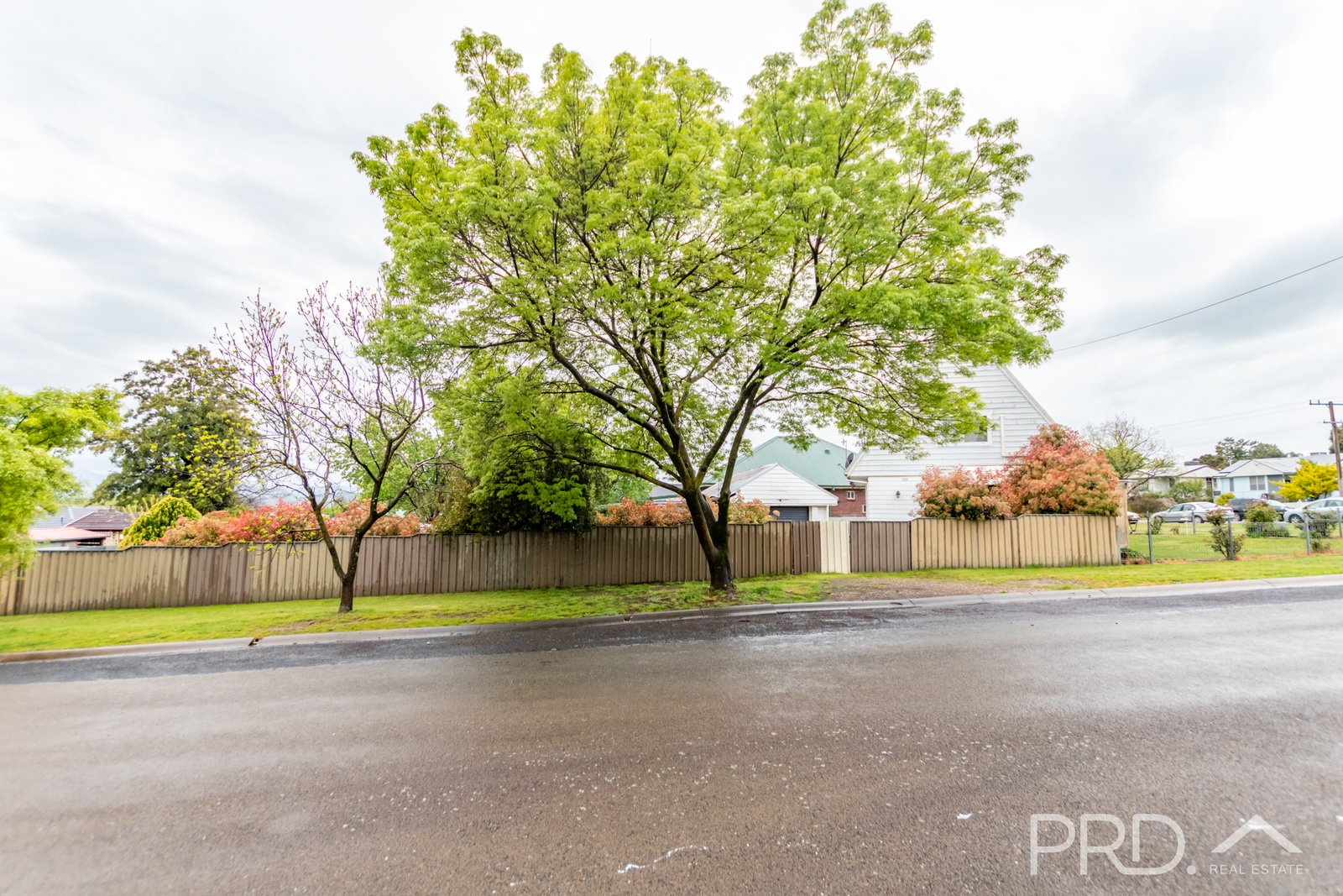 115 Broughton Street TUMUT 16