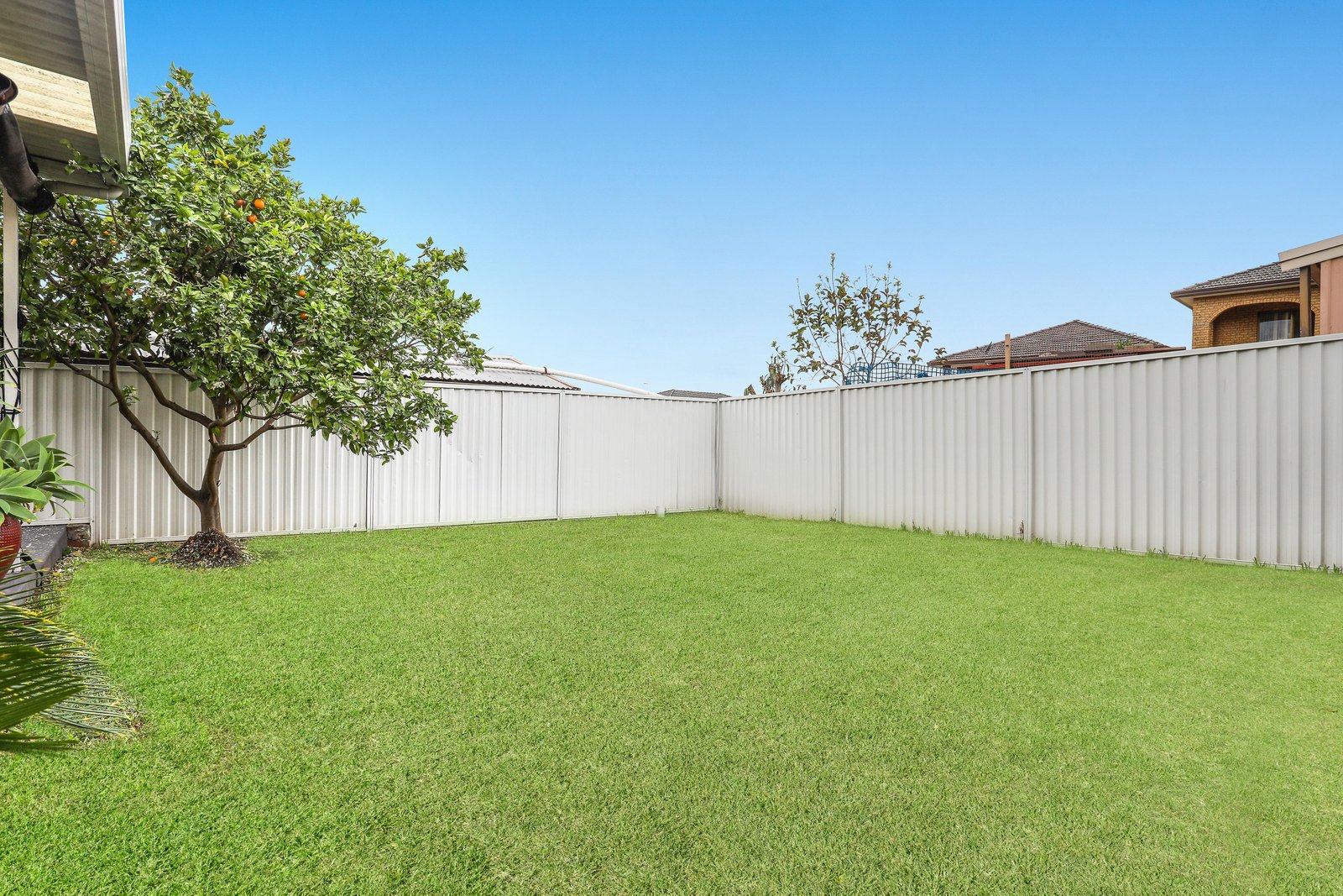 115 Caledonian Street BEXLEY 8