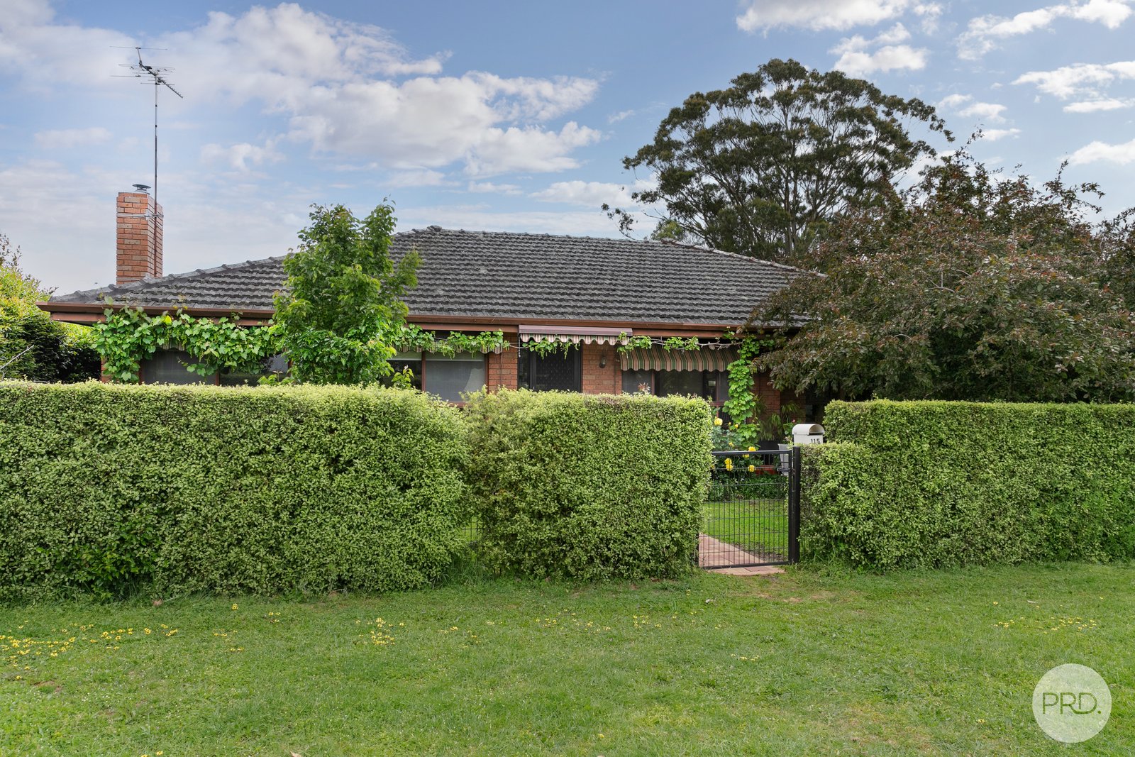 115 Church Street CRESWICK 13