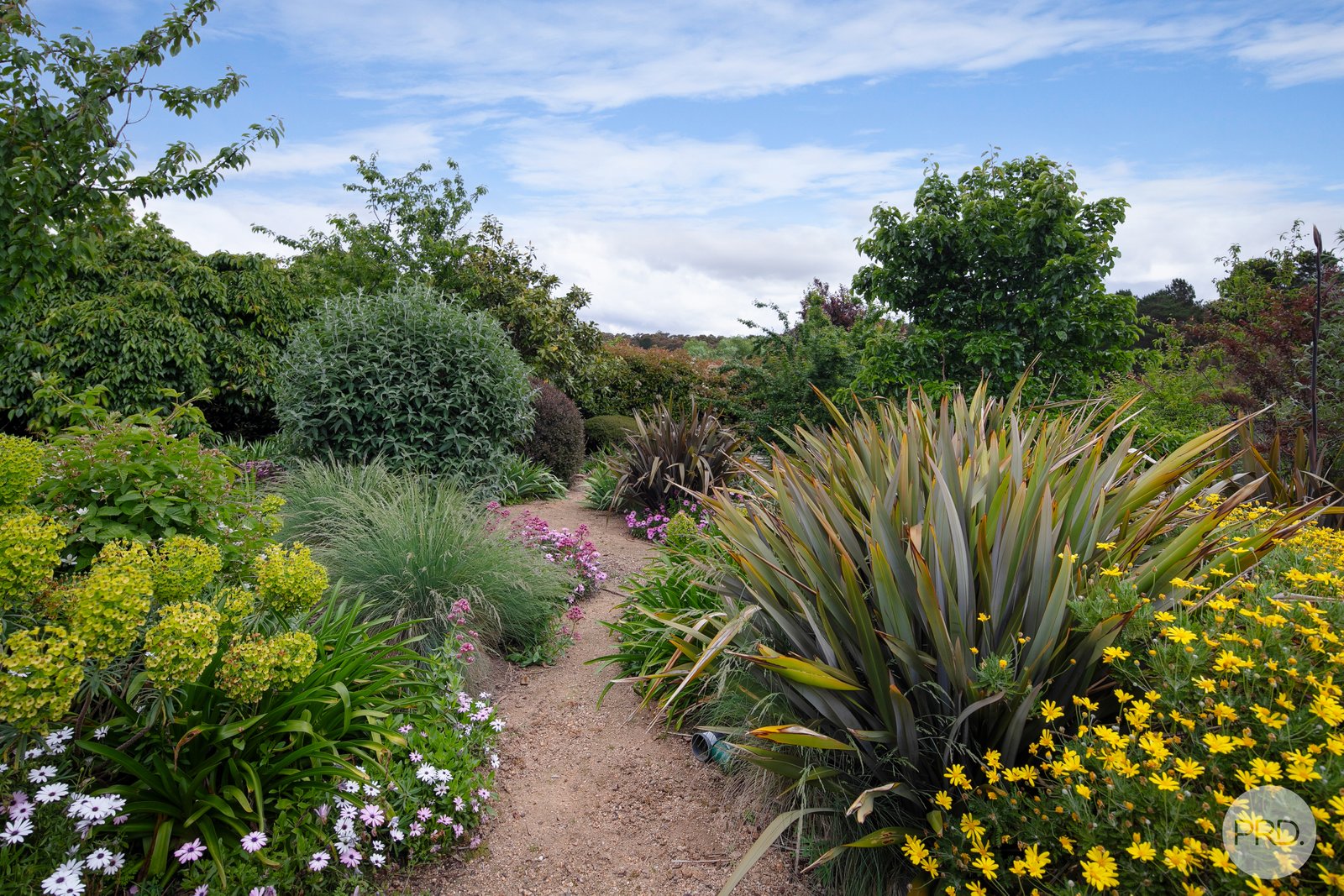 115 Church Street CRESWICK 20