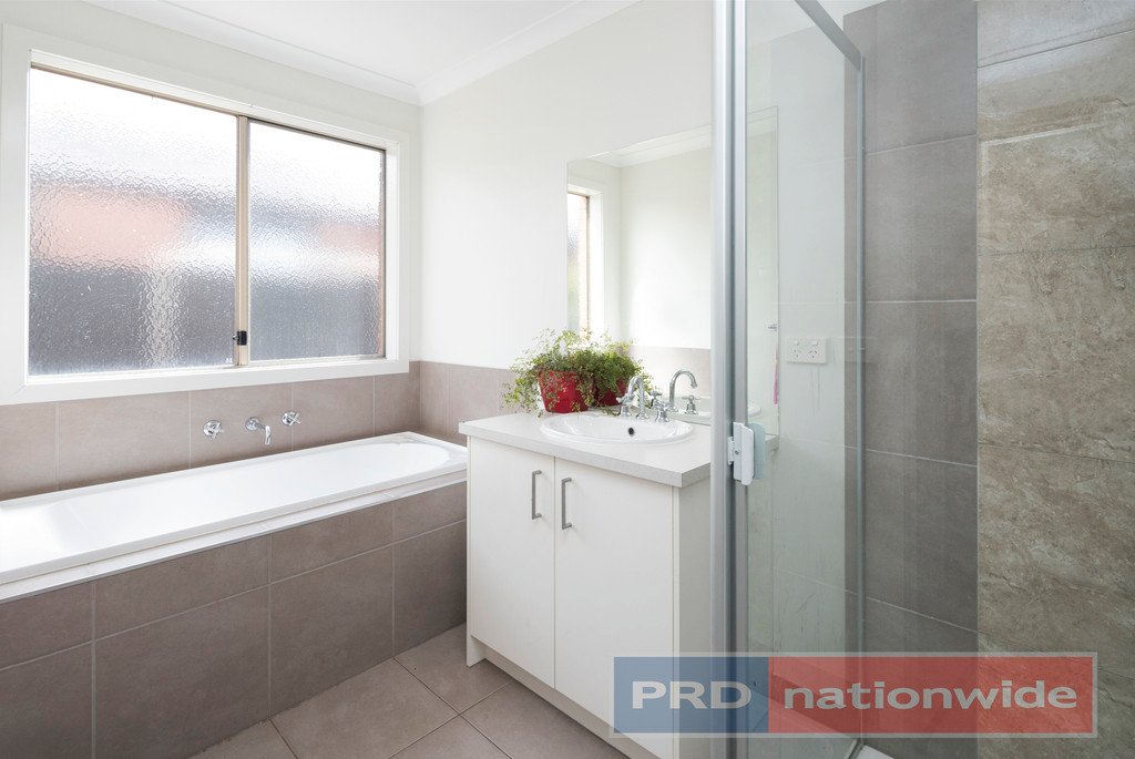115 Edwards Street SEBASTOPOL 3