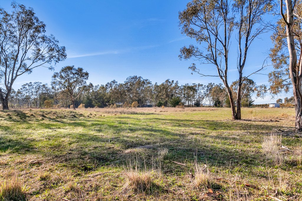 115 Fawcett Drive CLUNES 2