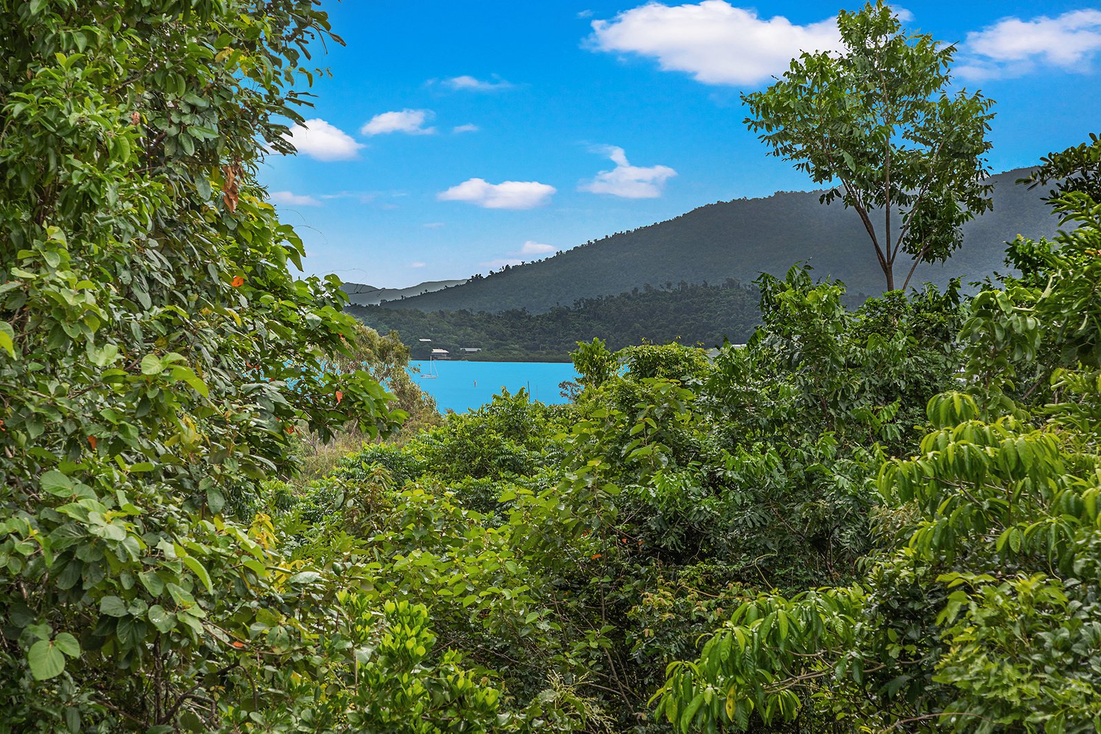 1/15 Flame Tree Court AIRLIE BEACH 5