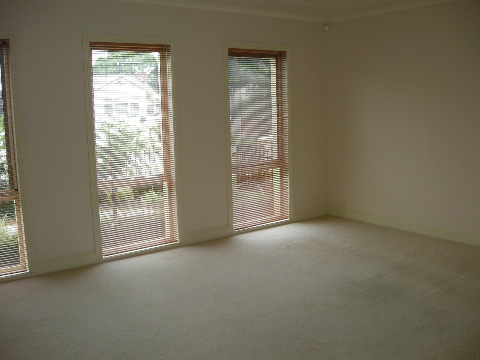Gallery: 115 Gertrude Street
