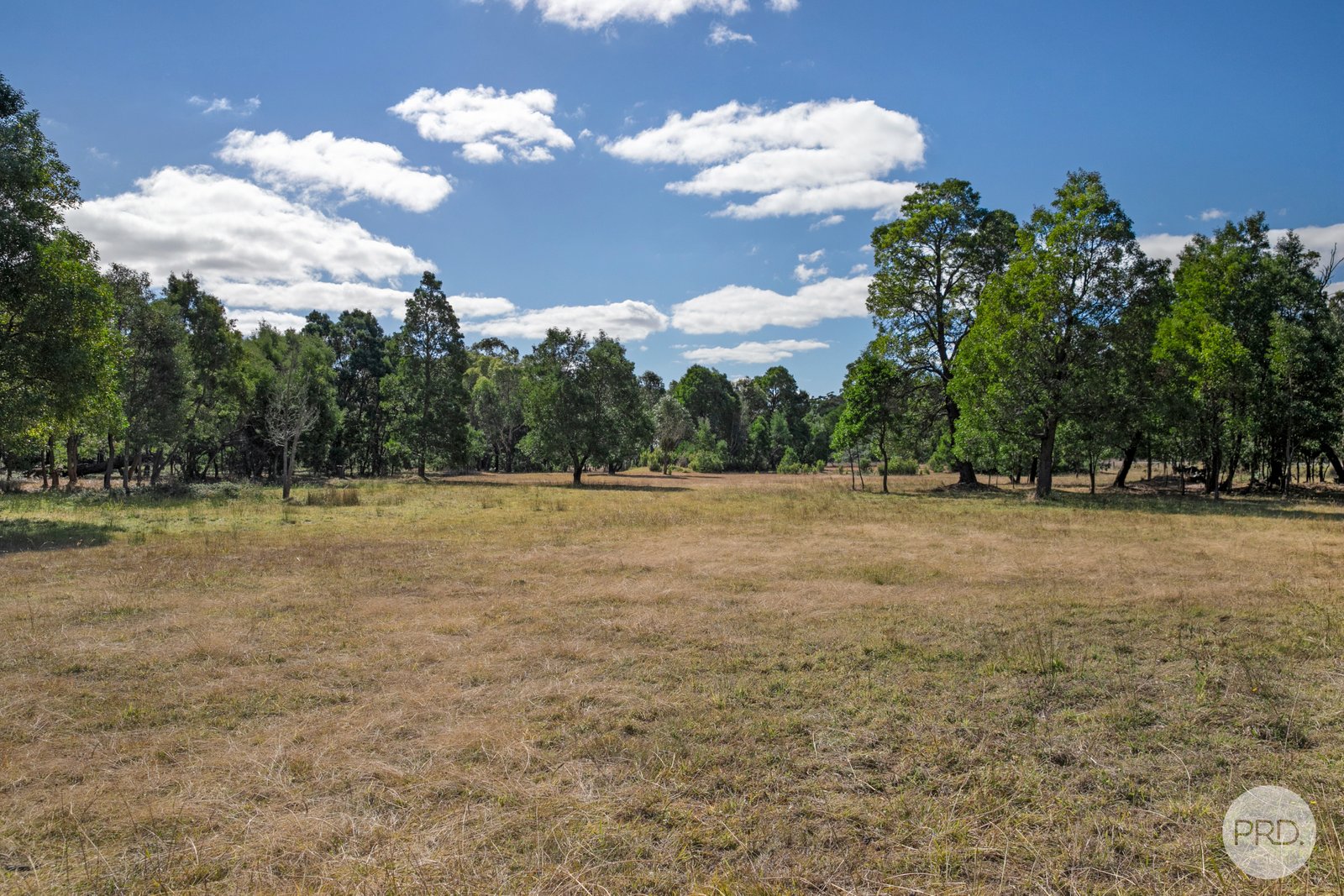 115 Laurence Drive SNAKE VALLEY 14