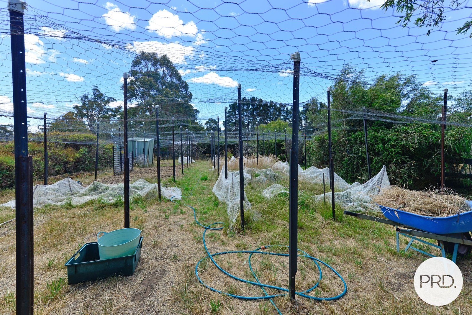 115 Loxton Road COLEBROOK 20