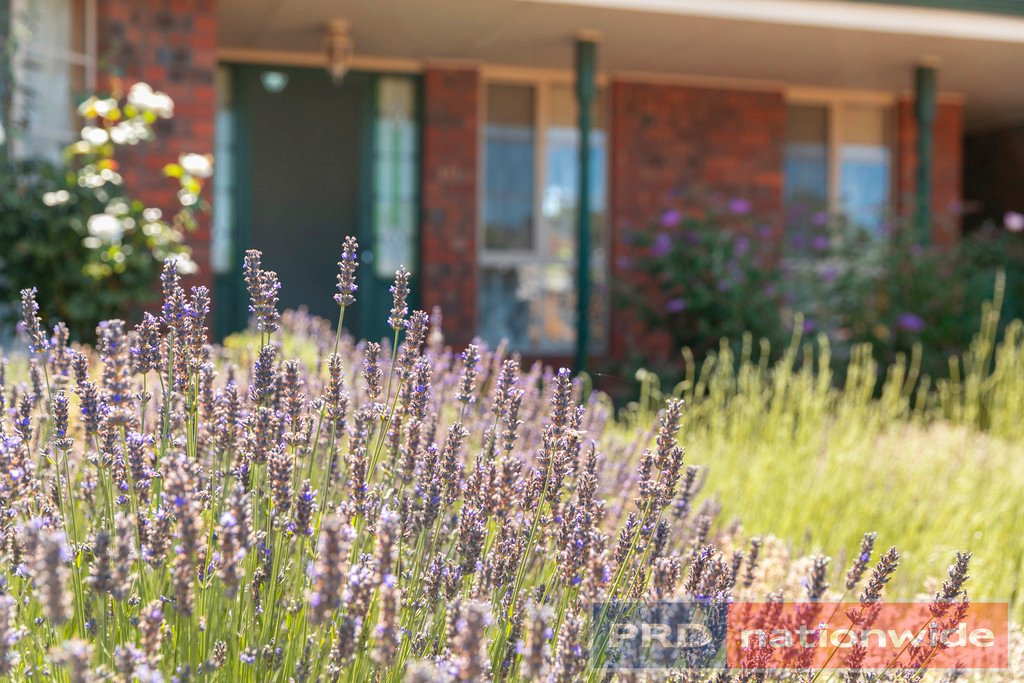 115 Slatey Creek Road INVERMAY PARK 8