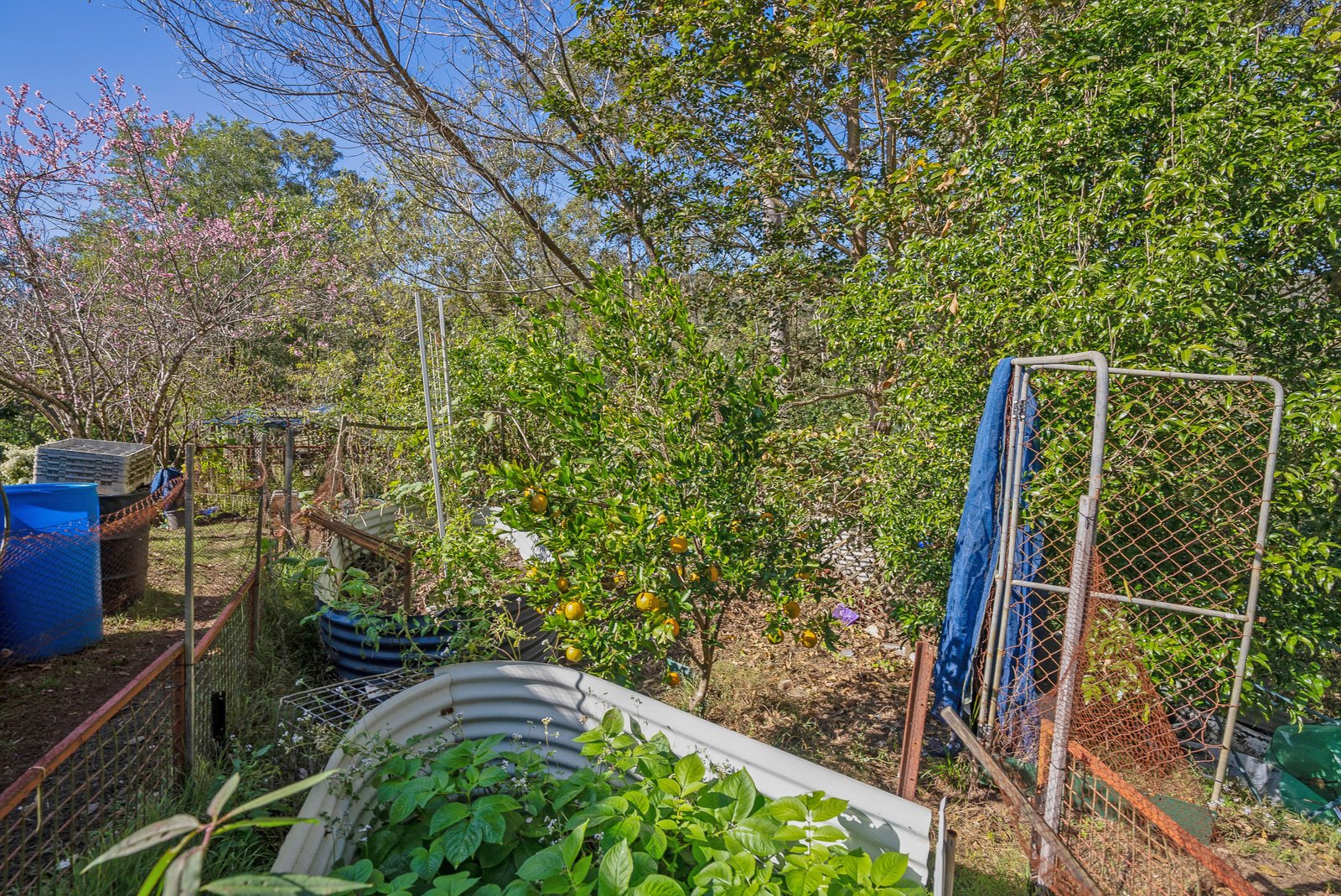 115 Upper Cherry Tree Road UPPER MONGOGARIE 27