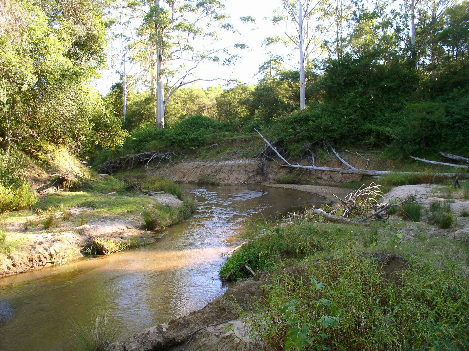 115 Upper Cherry Tree Road UPPER MONGOGARIE 32