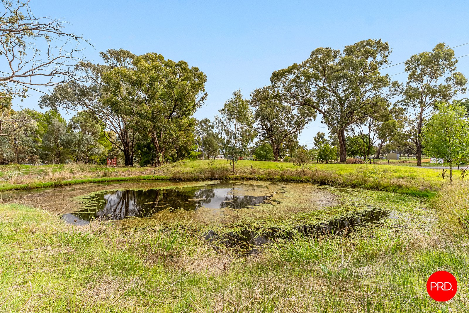 115 Wilsons Hill Road MARONG 14
