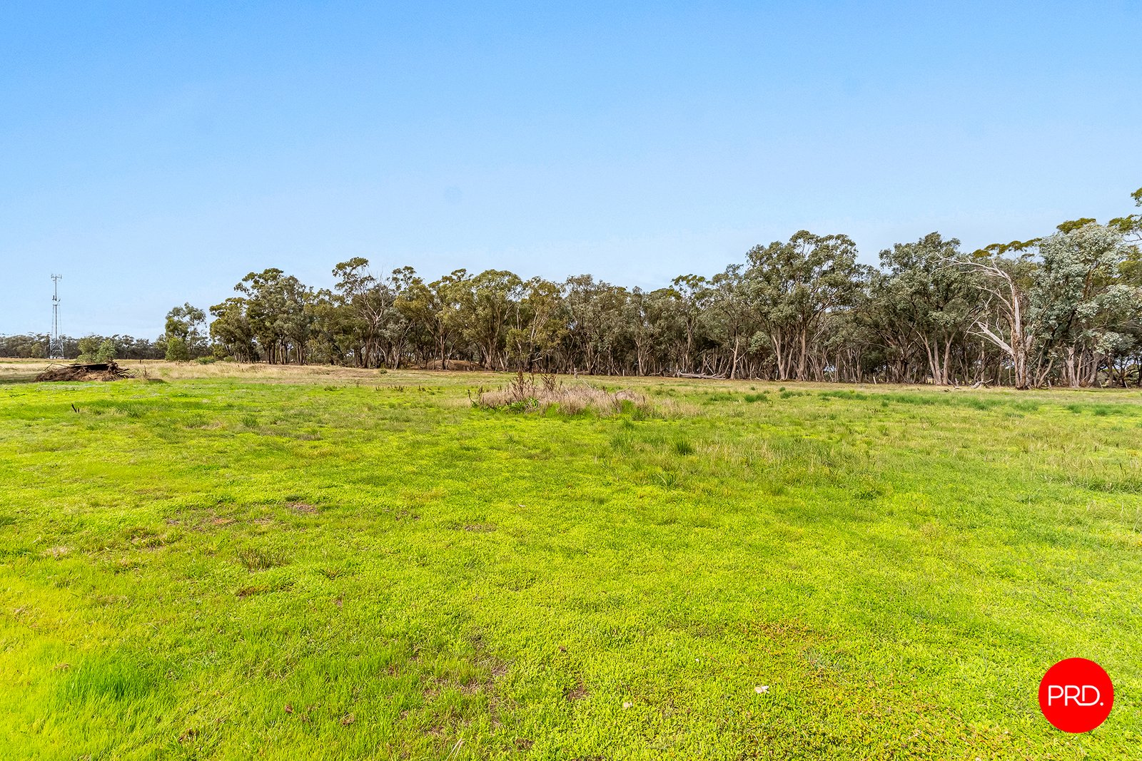115 Wilsons Hill Road MARONG 16