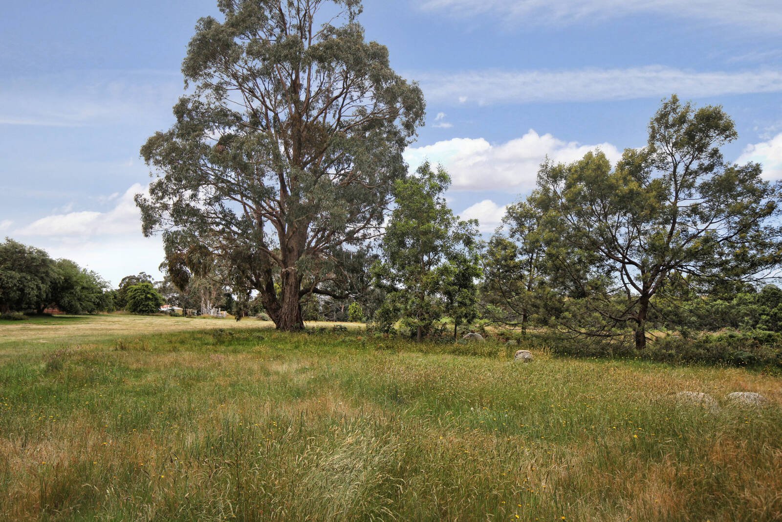 Real Estate and Property in 1150 Burke and Wills Track, Benloch, VIC