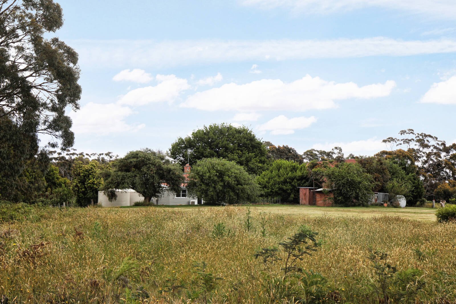 Real Estate and Property in 1150 Burke and Wills Track, Benloch, VIC