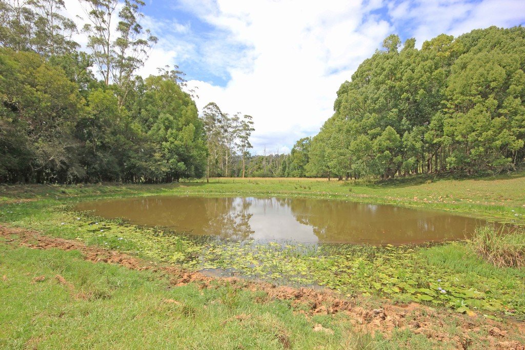 1151 Lorne Road LORNE 14