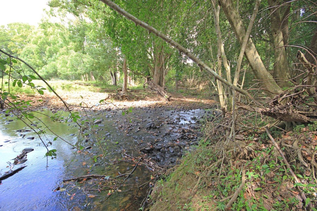 1151 Lorne Road LORNE 16