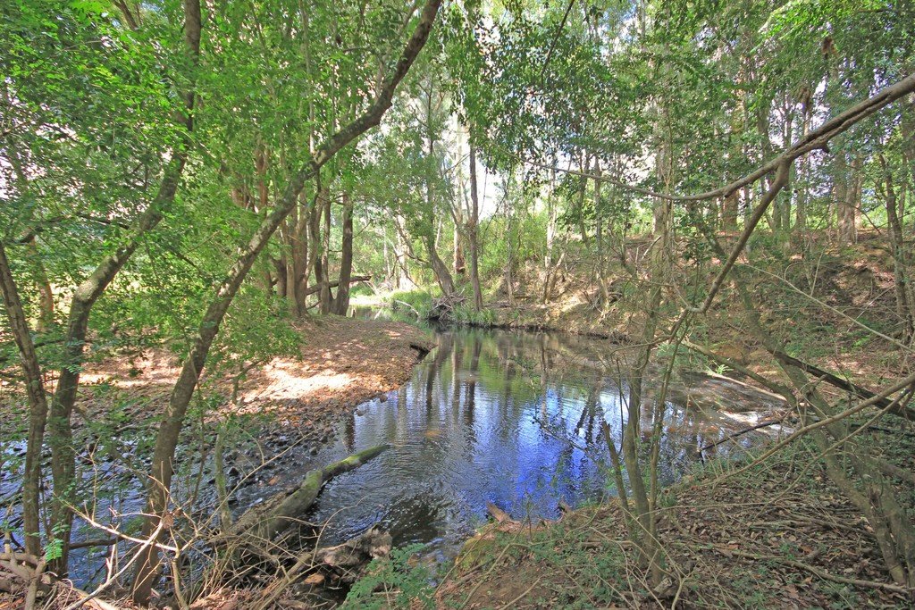 1151 Lorne Road LORNE 17