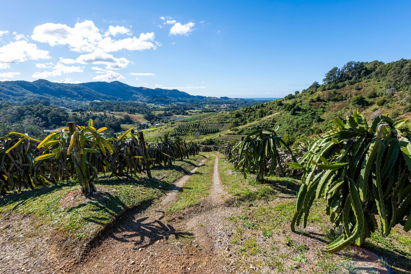 115B-115c Bennetts Road COFFS HARBOUR 20