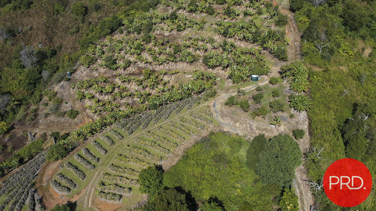 115B-115c Bennetts Road COFFS HARBOUR 21