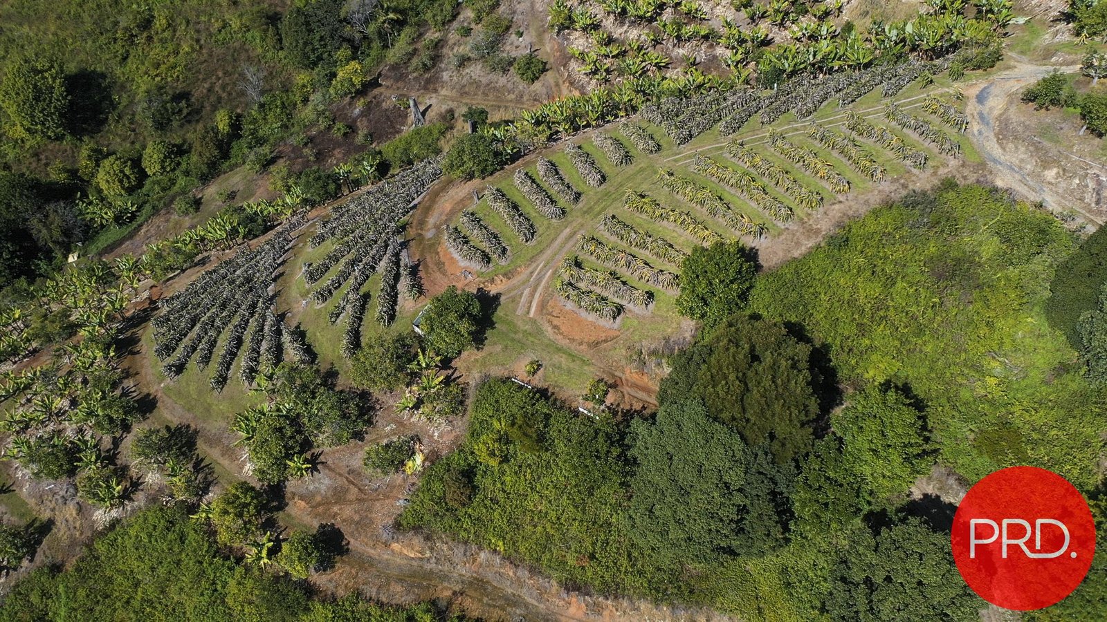 115B-115c Bennetts Road COFFS HARBOUR 22