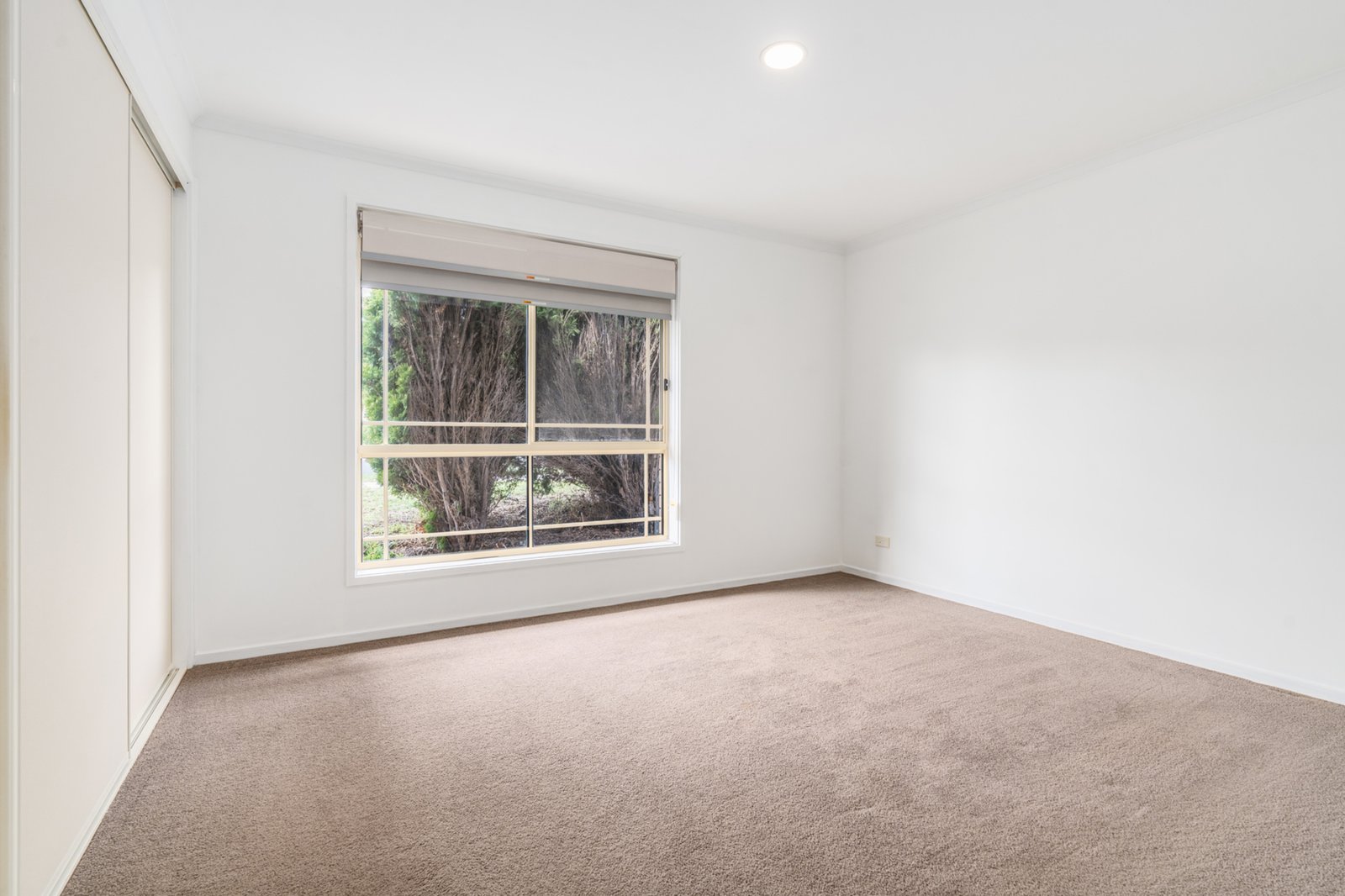 Gallery: 1/16 Dendle Street