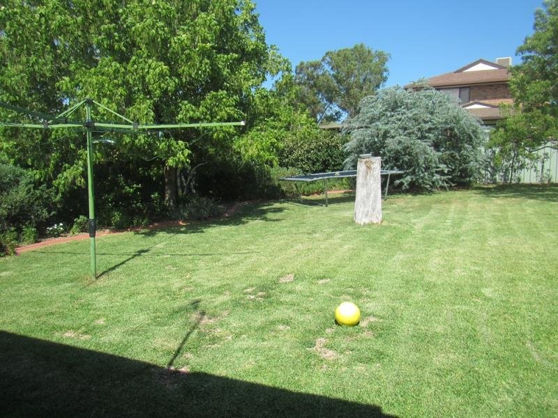 116 Edward Street TAMWORTH 7