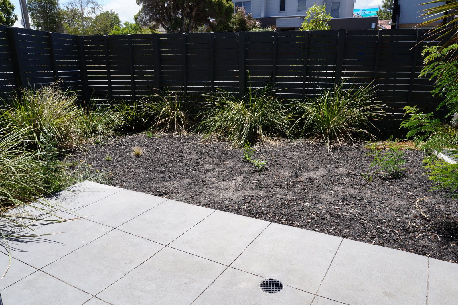 Gallery: 1/16 Keiller Street