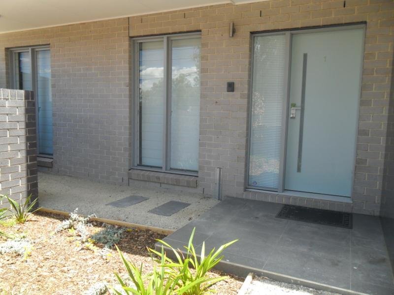 Gallery: 1/16 Kingsville Street
