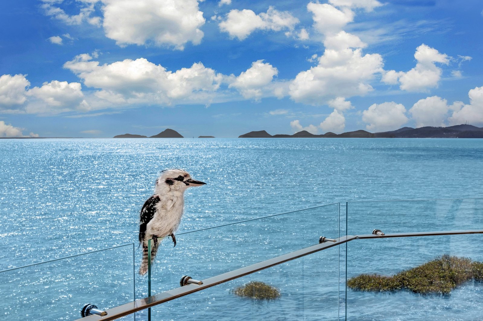 1/16 Mitchell Street SOLDIERS POINT 13