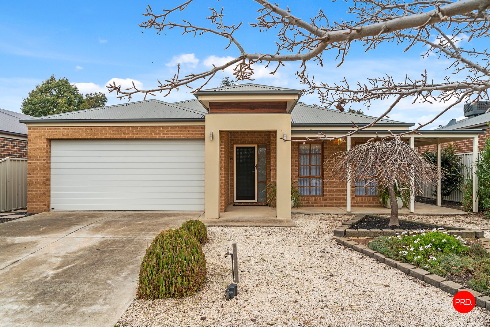 116 Myrtle Road ASCOT 2