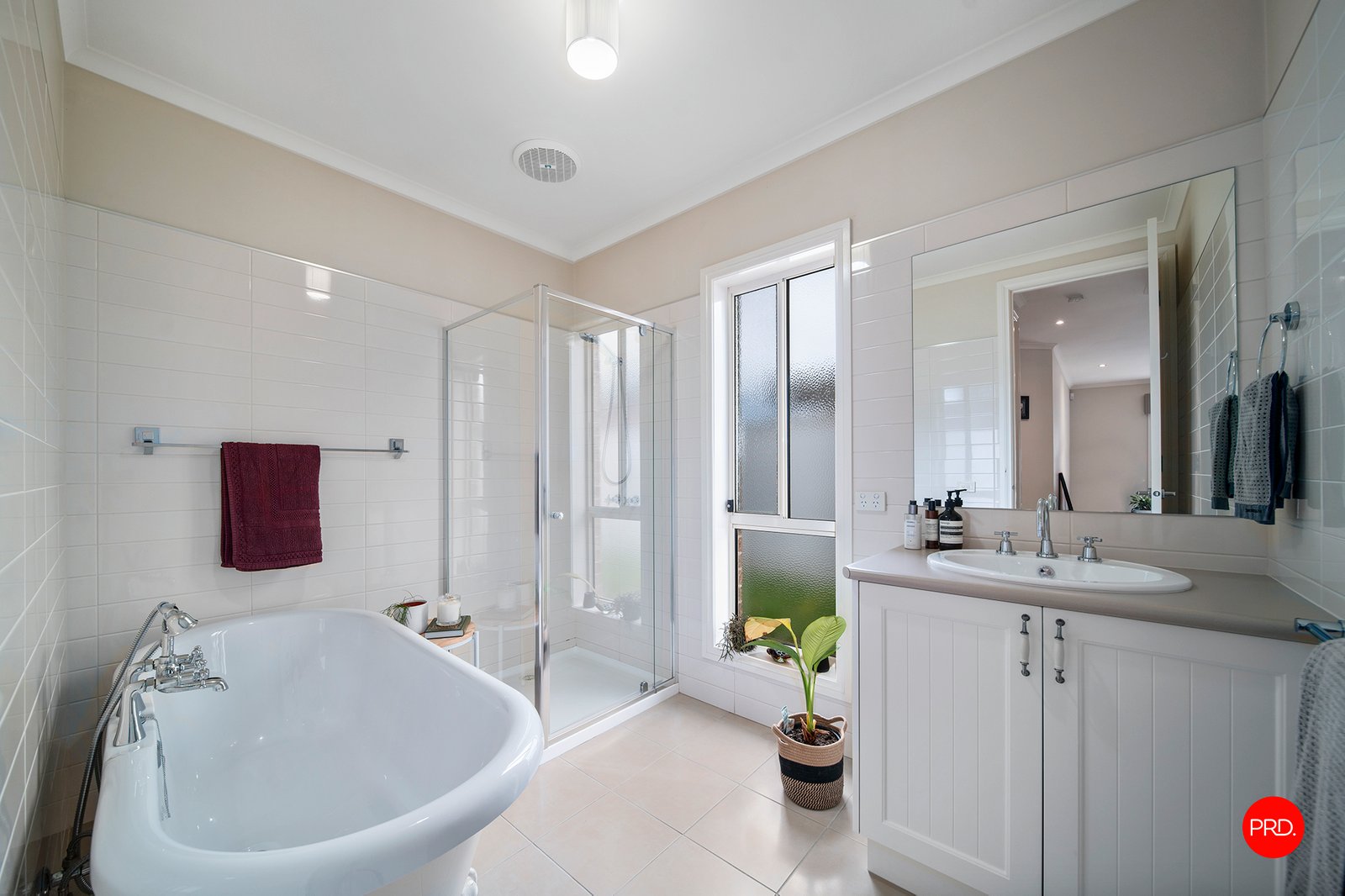 116 Myrtle Road ASCOT 11