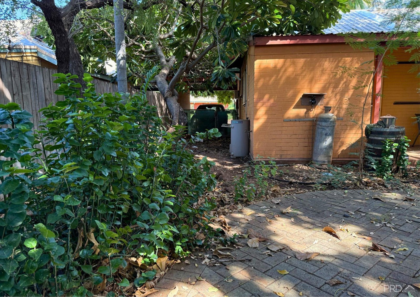 1/16 Tang Street BROOME 8