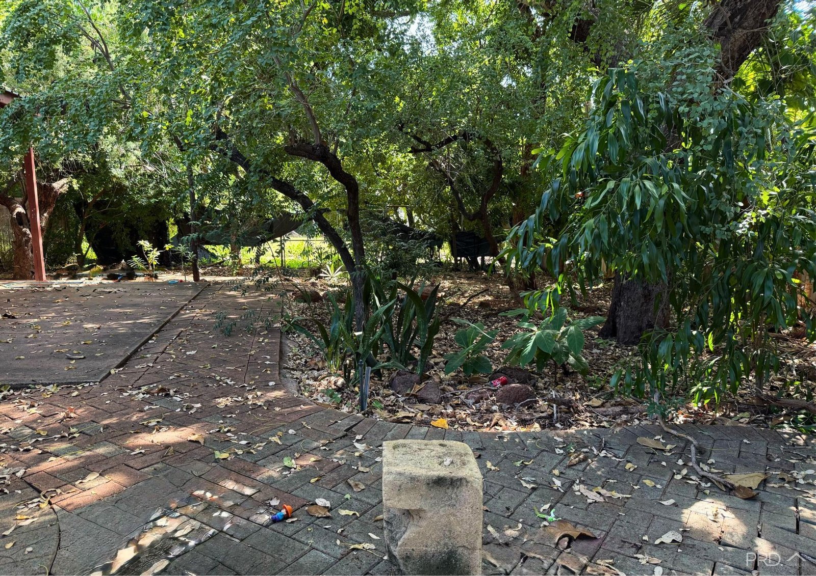 1/16 Tang Street BROOME 20