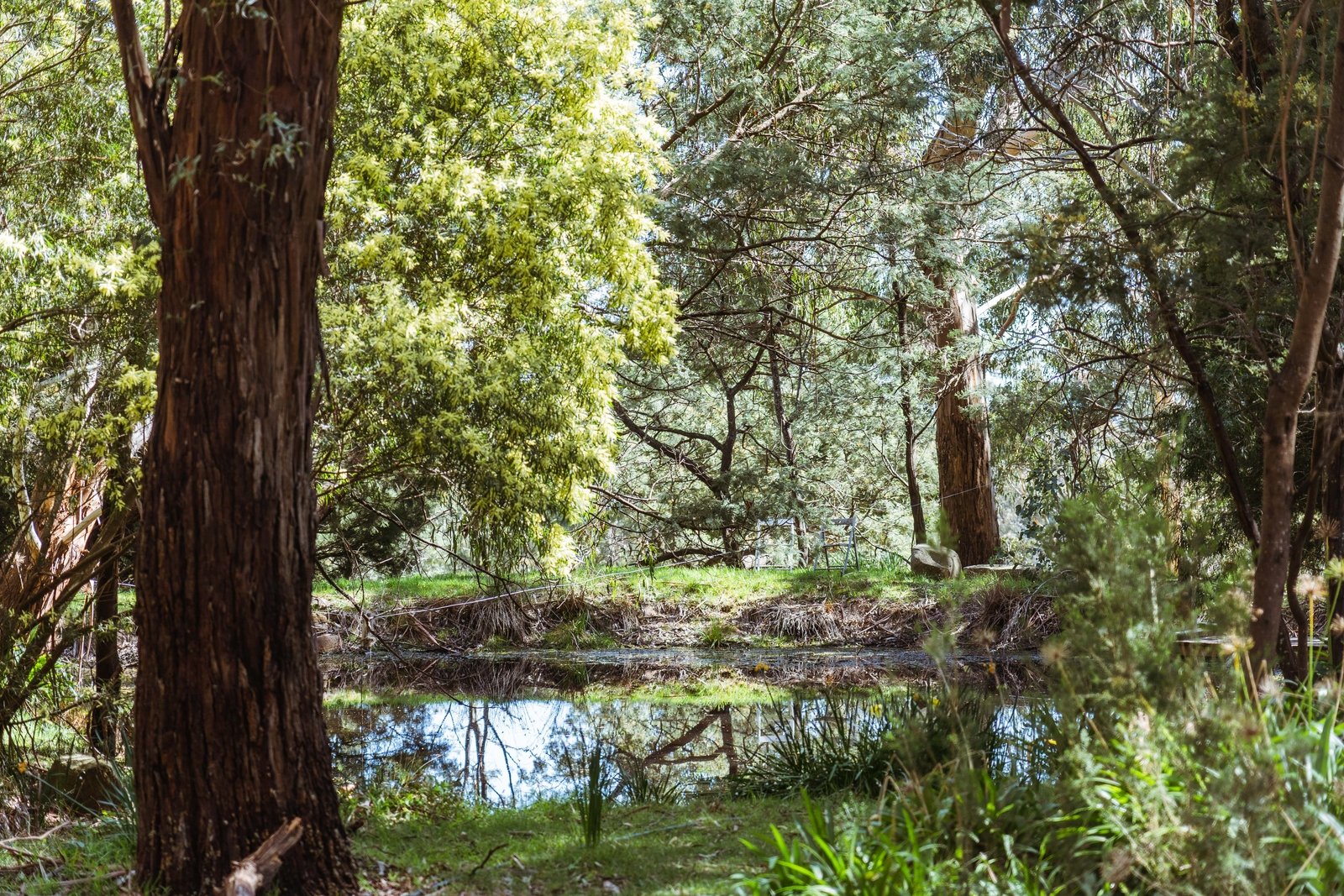 Real Estate and Property in 116 Waterworks Road, Woodend, VIC