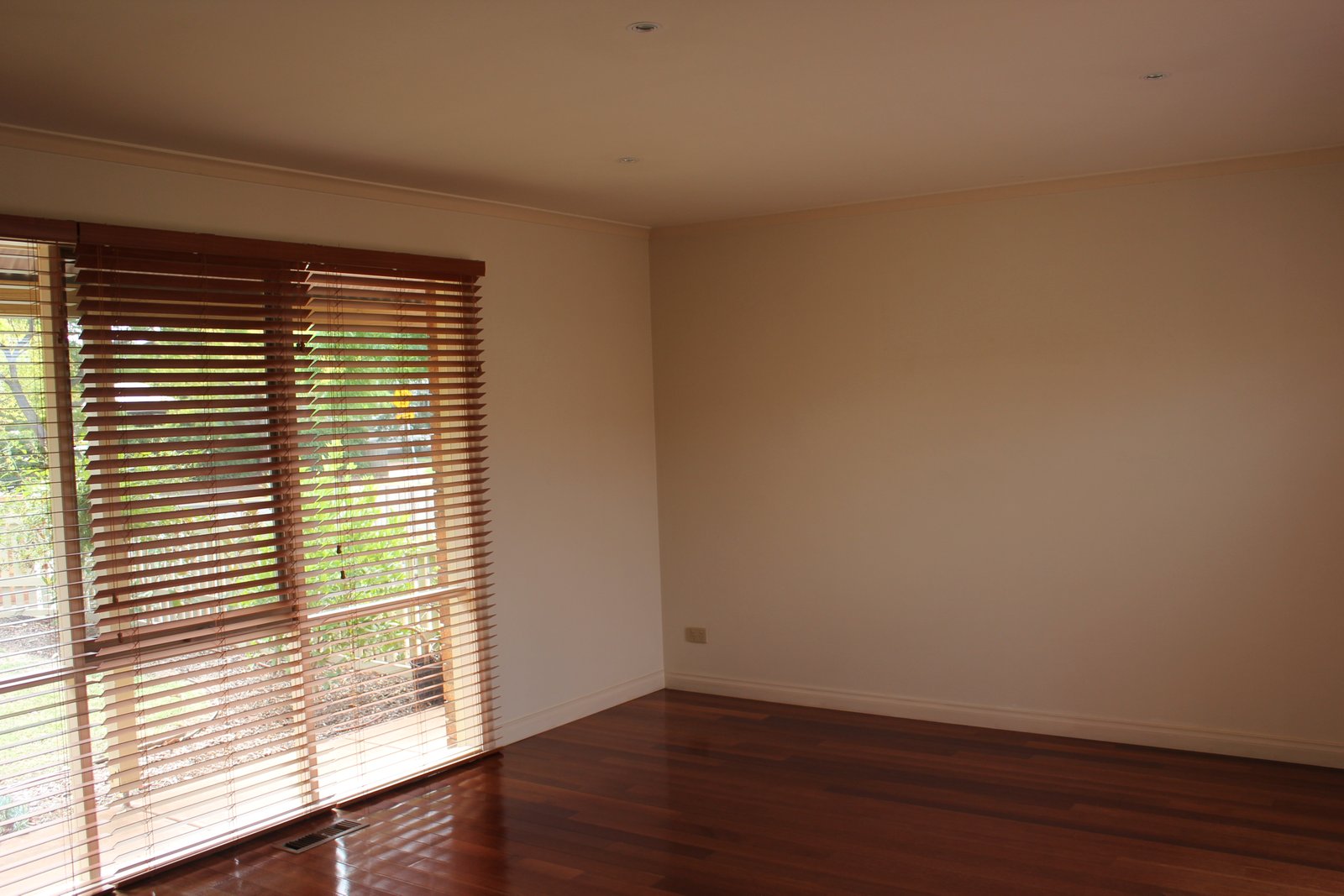 Gallery: 1/16 Webster Street