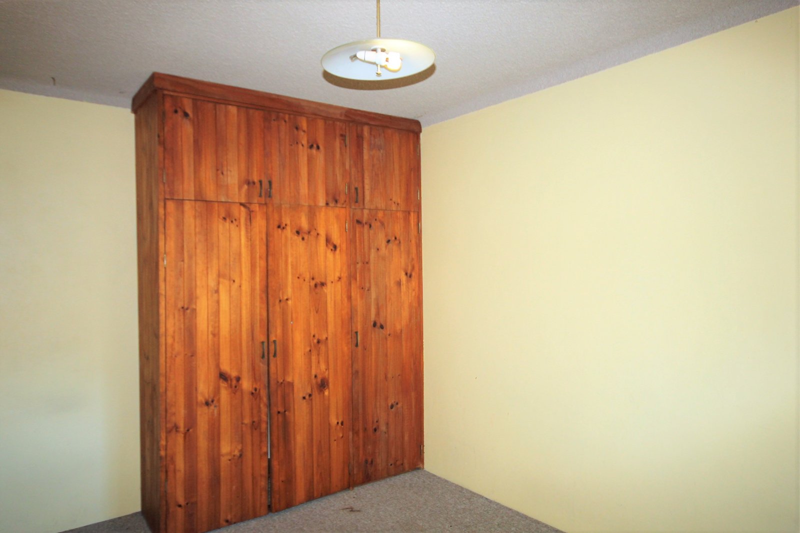 11/61 Wolseley Street BEXLEY 7