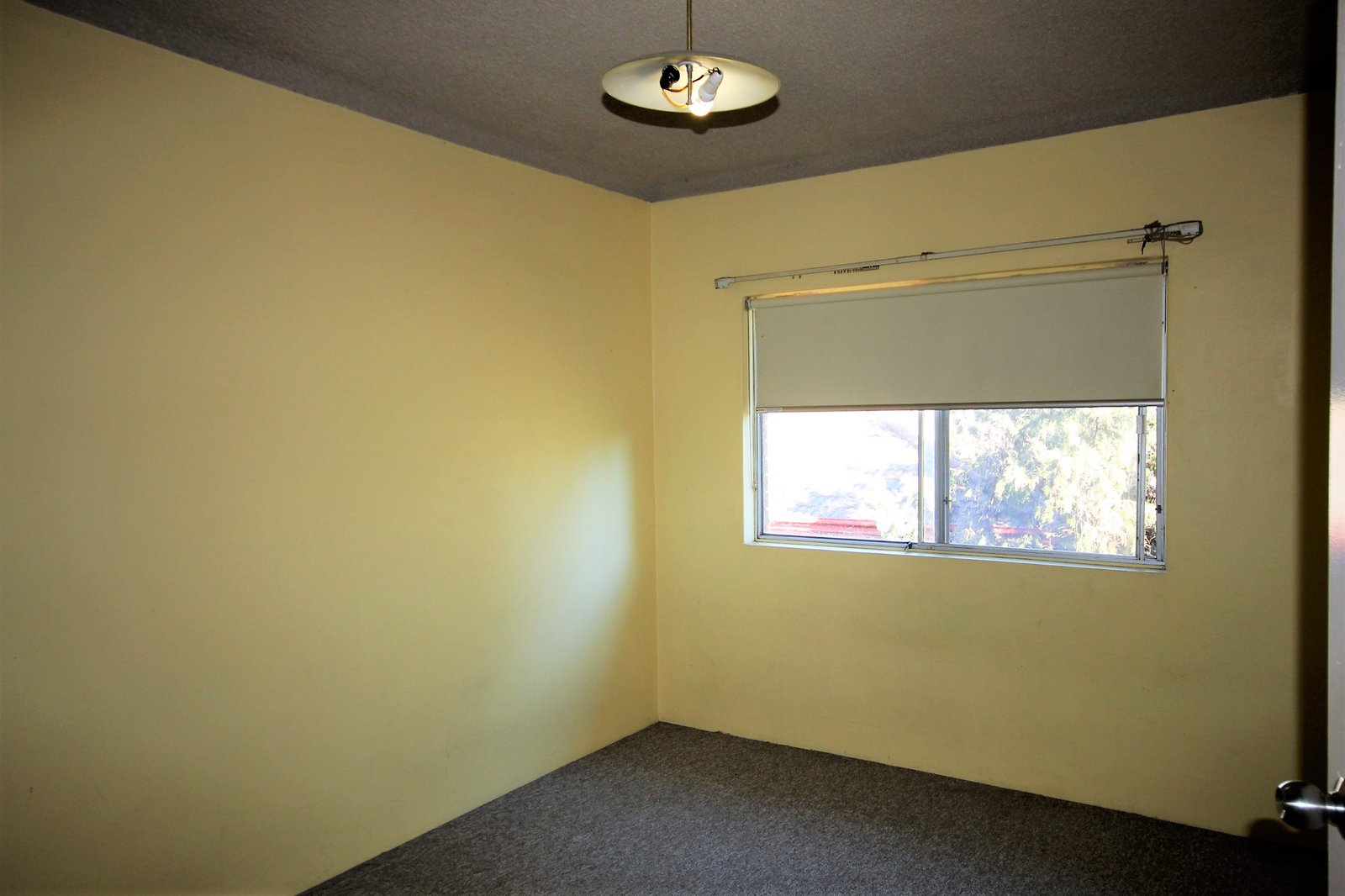 11/61 Wolseley Street BEXLEY 8